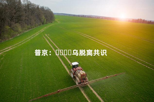 普京：乌脱离共识